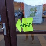 amap8